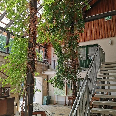 Landhotel Schaferhof Langenstein Eksteriør billede